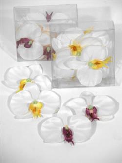 Orquidea crema - Ø9cm