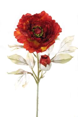 PEONIA OTOÑO CALDERAx1FØ18+2Hx73c