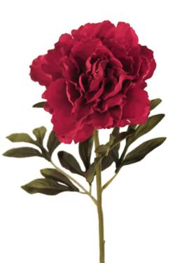 Peonia Velvet roja - Ø15x70cm