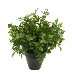 Philo verde plastico con maceta -30cm.