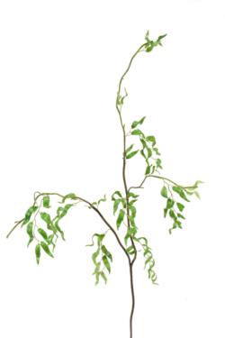 Rama de Salix verde - 120cm