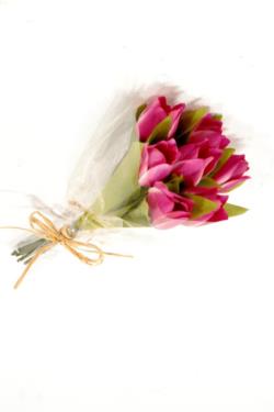 Ramo de tulipanes fucsia - Ø11x30cm