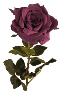 Rosa Velvet malva - 85cm