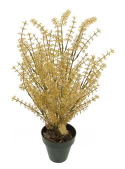 Selaginela ocre plastico con maceta -35cm.