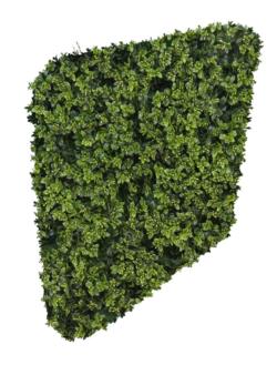 Seto de mini boj en flor horizontal - 118cm