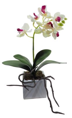 White box orquídea crema goma - 8x8x30cm.