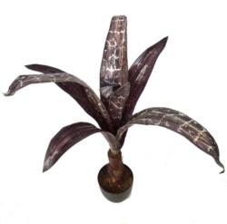 YUCA BERENJENAx10HJx1TR/TROPICx110cm.
