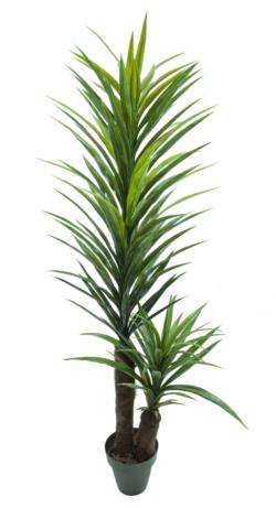 YUCA VDE.PL.x145HJx2TR/TROPx180cm.C/M